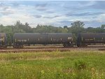 TCBX 306897